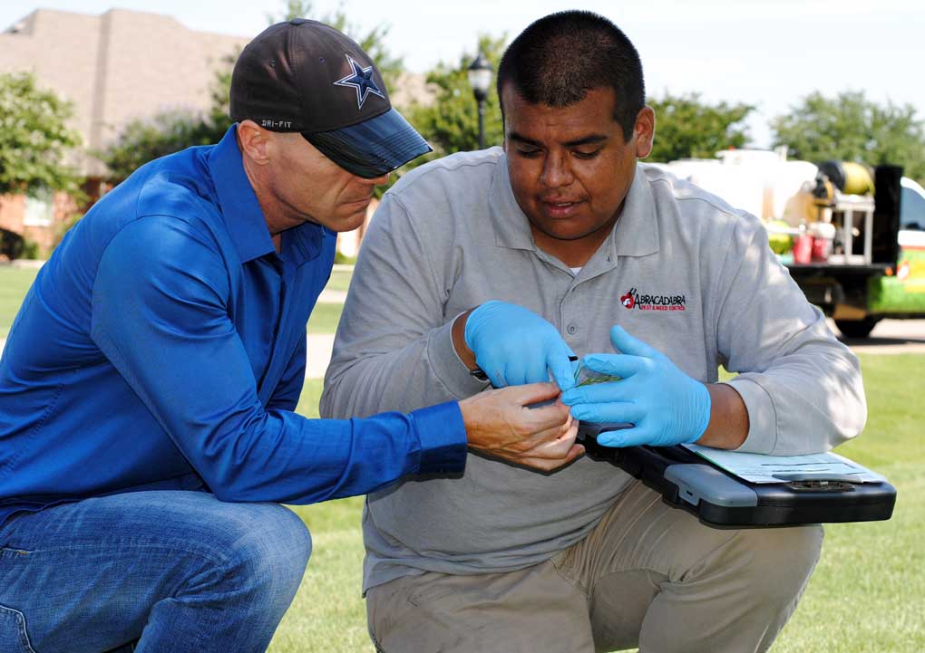 lawn fertilization fate texas