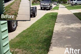lawn care service fate tx