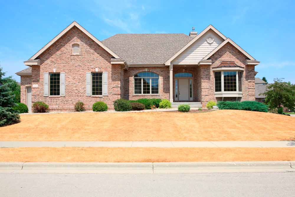 drought repair dallas texas