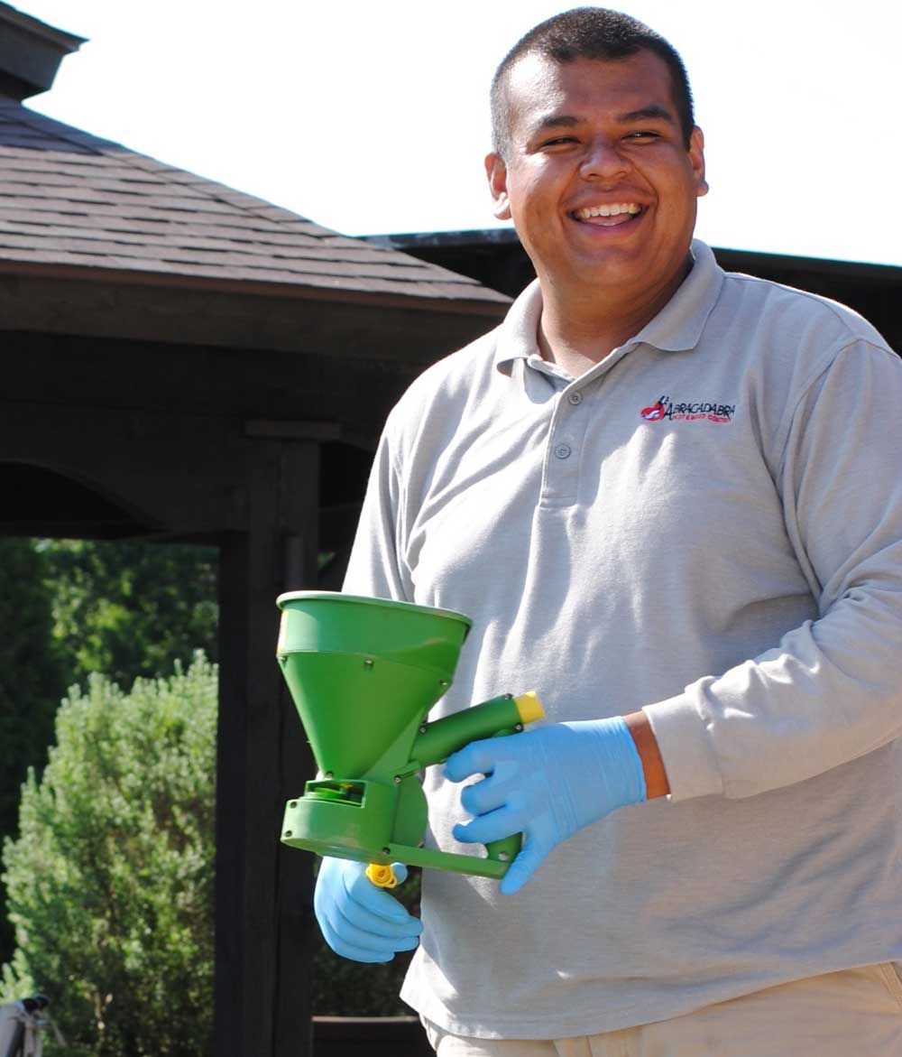 shrub care dallas