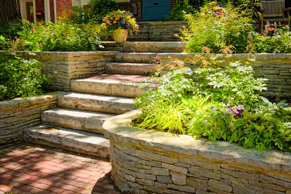 tree and shrub care dallas