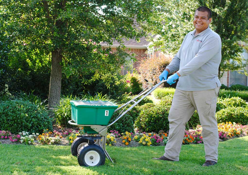 lawn fertilization dallas texas