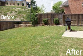 lawn pest treatment dallas tx
