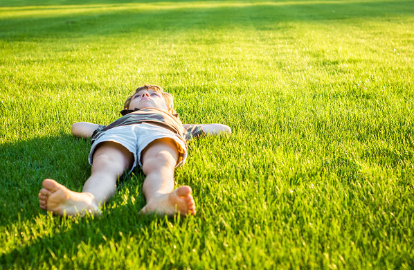 Benefits of Properly Treated Grass on Your Lawn