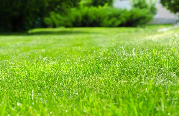 Liquid Aeration Technology: Abracadabra Your Lawn with SoilTech!