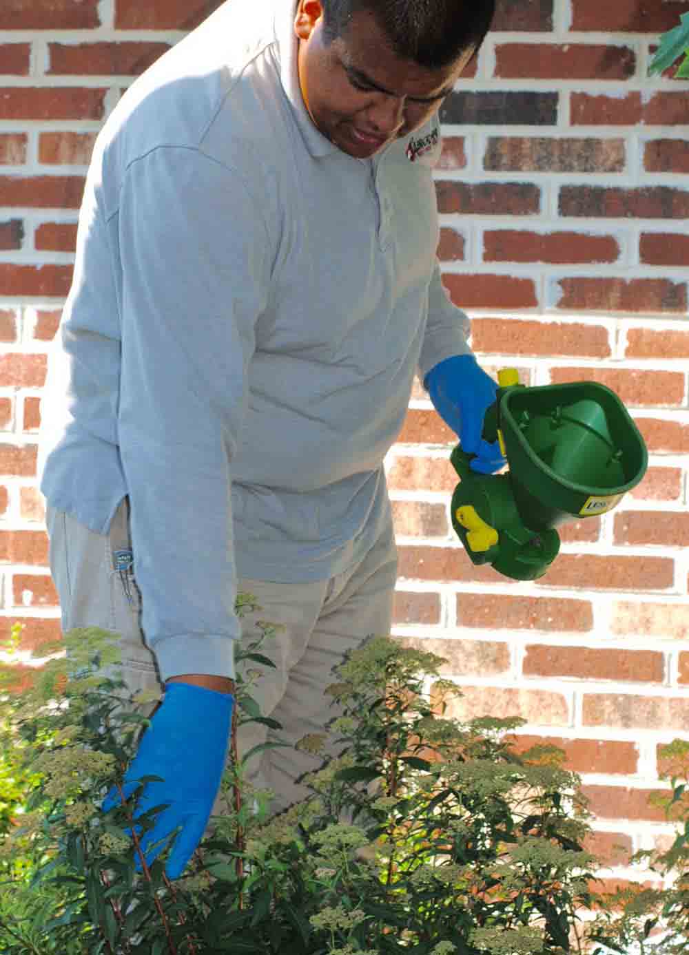 Tree & Shrub Care