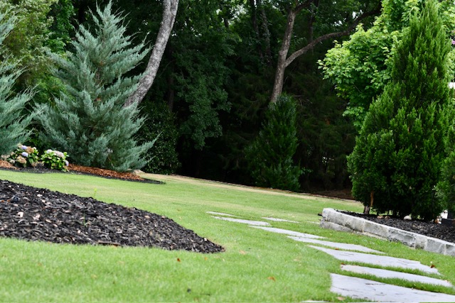 Achieving a Lush, Weed-Free Lawn: The Abracadabra Way