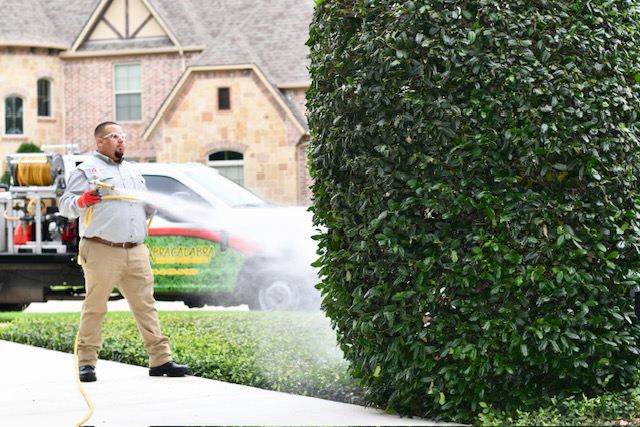 Tailoring Treatment Plans for Every Lawn Pest Problem: Abracadabra’s Custom Approach