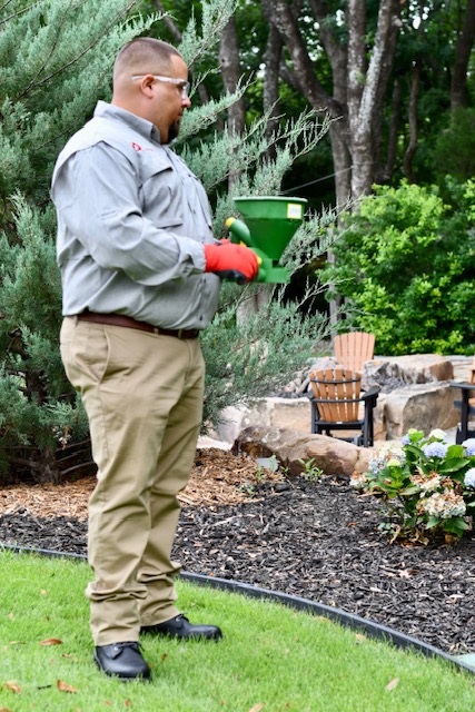 Lawn Disease & Insect Prevention: Your Guard Against Damaging Pests