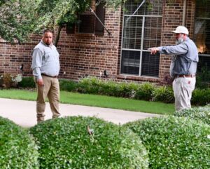 Henbit and Chickweed: Winter's Unwanted Guests