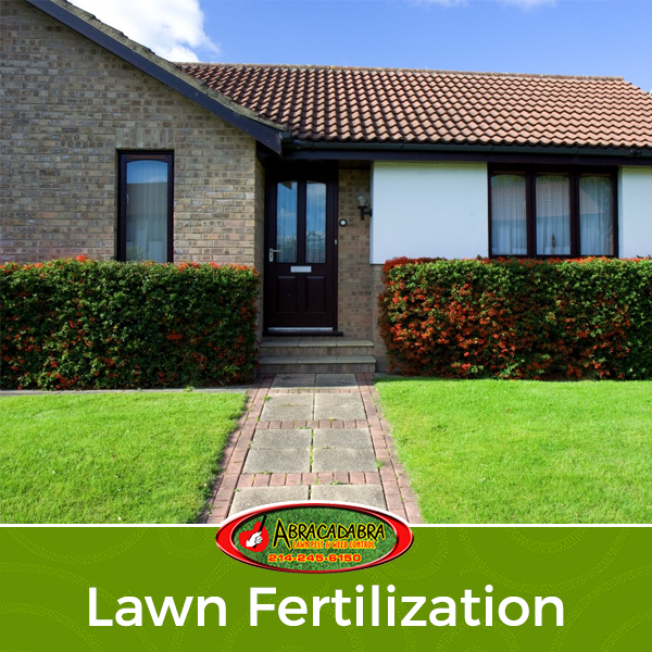 Signs that Indicate you Have Over-Fertilized your Lawn