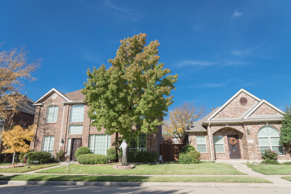 Boosting Property Value and Curb Appeal with Lawn Care