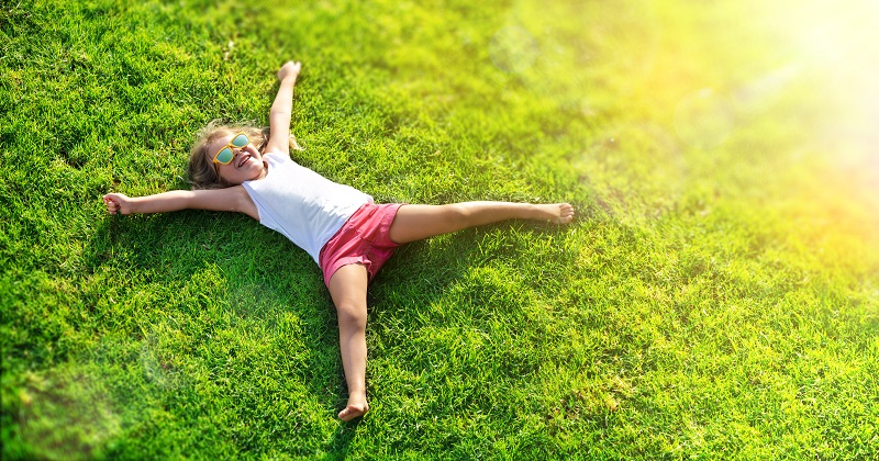 What Lawn Problems Should you Expect During Summer?