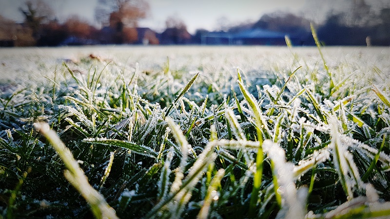 How Will Winter Weather Affect My Lawn?