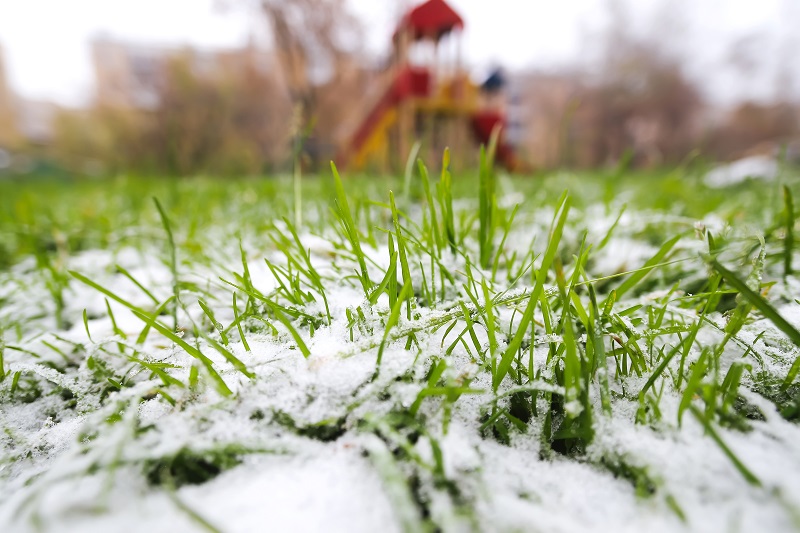 What Effect Does the Cold Weather Have on Your Lawn?