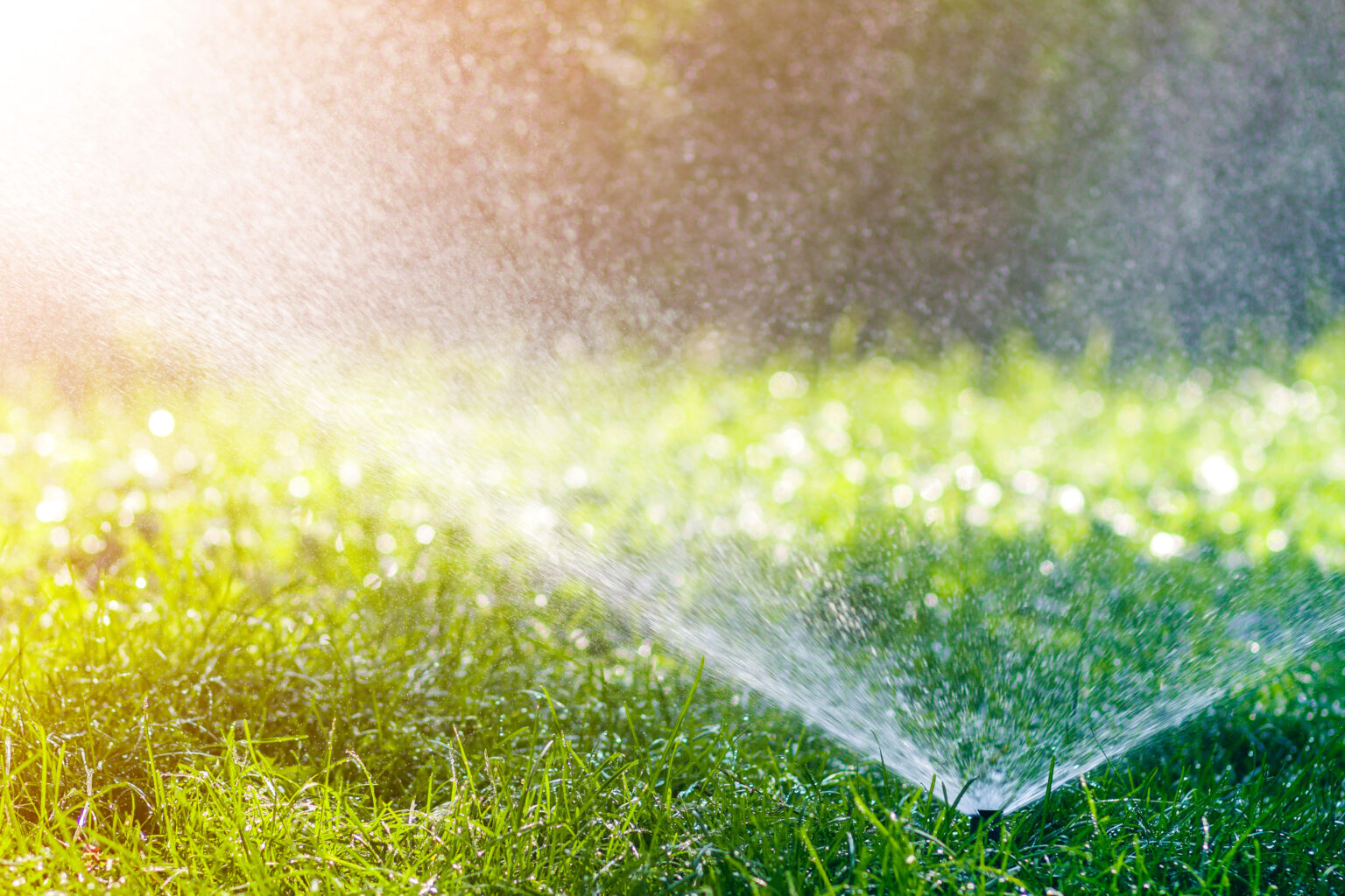 How to Care for Your Lawn Without Wasting Water ABRACADABRA