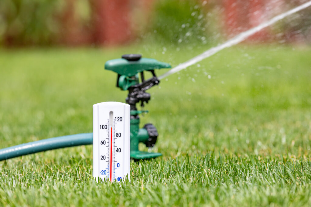 5 Ways to Care for Your Lawn During Water Restrictions