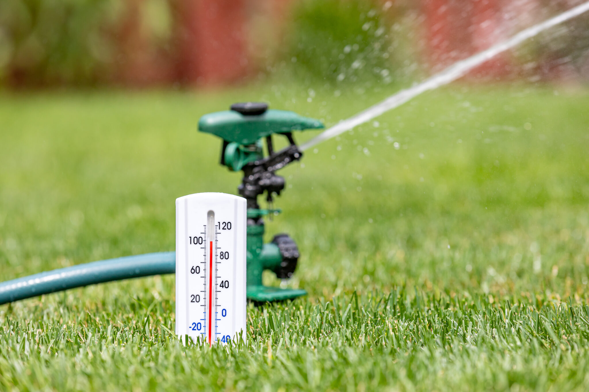 5 Ways to Care for Your Lawn During Water Restrictions ABRACADABRA