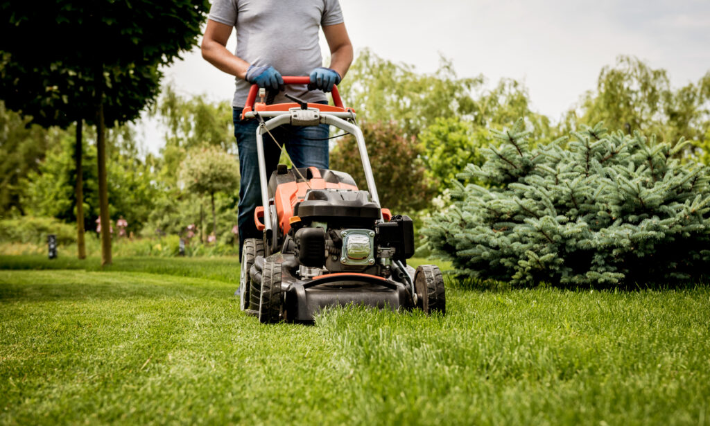 Should You Cut Your Grass Before Spraying for Pests?