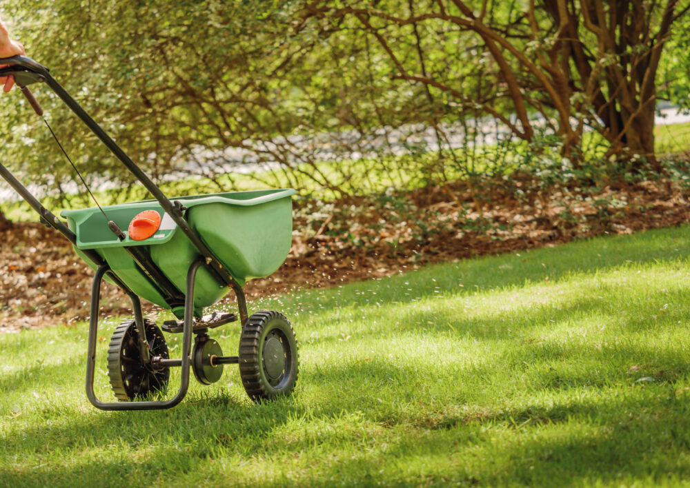 The Importance of Fertilization for a Healthy Lawn