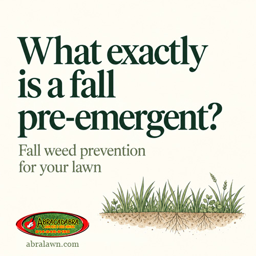 What exactly is a fall pre-emergent? What exactly is a fall pre-emergent?