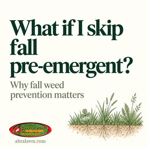 What if I skip fall pre-emergent?